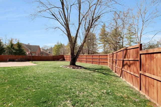 view of yard with a patio and a fenced backyard