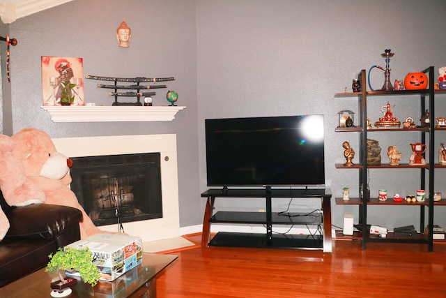 living area featuring wood finished floors and a fireplace