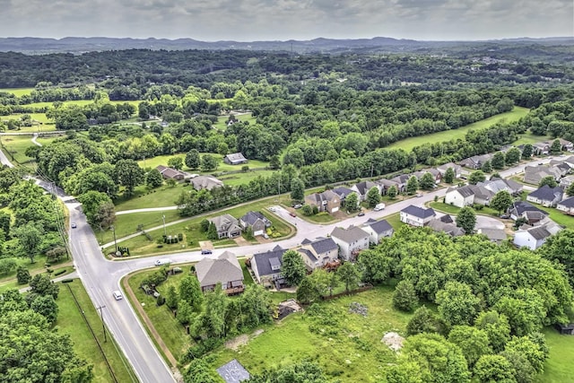 drone / aerial view featuring a mountain view and a residential view