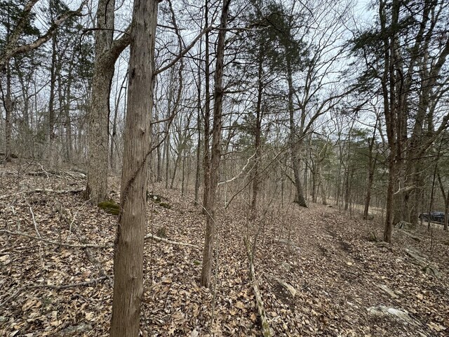 1790 Tolbert Hollow Rd, Bradyville, TN 37026 - photo 11