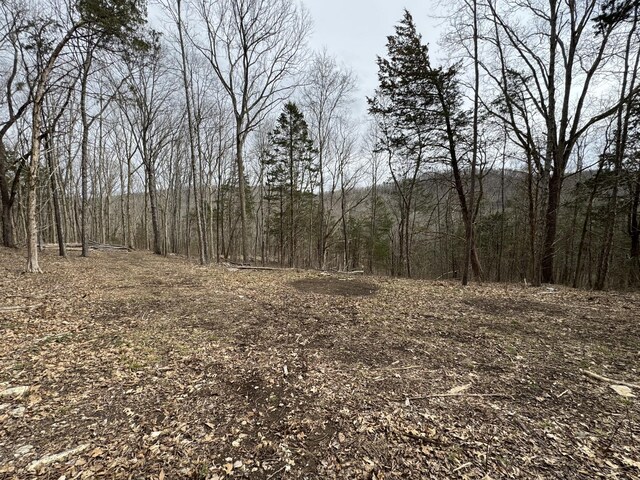1790 Tolbert Hollow Rd, Bradyville, TN 37026 - photo 8