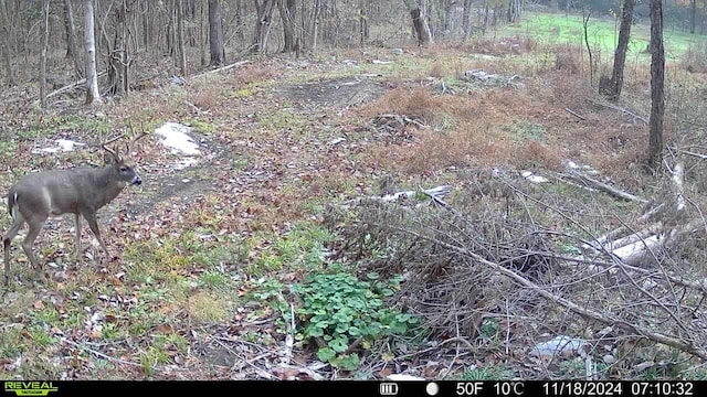 1790 Tolbert Hollow Rd, Bradyville, TN 37026 - photo 14