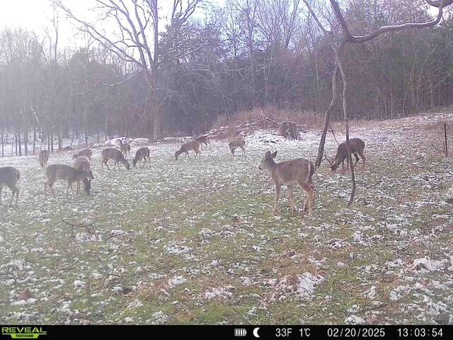 1790 Tolbert Hollow Rd, Bradyville, TN 37026 - photo 13