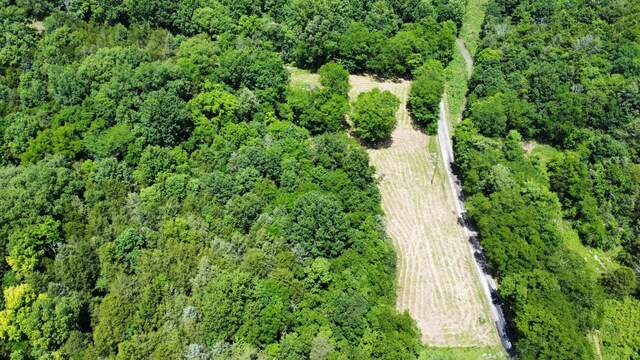 1790 Tolbert Hollow Rd, Bradyville, TN 37026 - photo 3