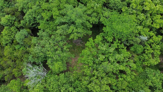 1790 Tolbert Hollow Rd, Bradyville, TN 37026 - photo 4
