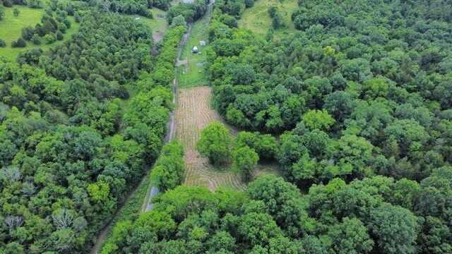 1790 Tolbert Hollow Rd, Bradyville, TN 37026 - photo 5