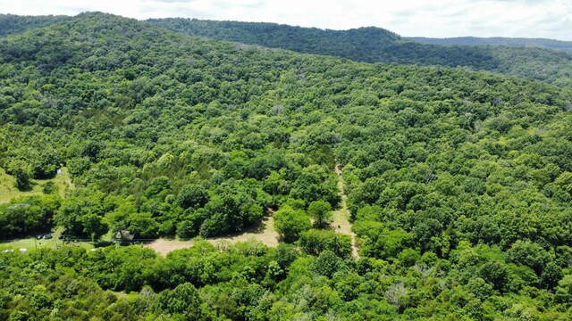 1790 Tolbert Hollow Rd, Bradyville, TN 37026 - photo 2