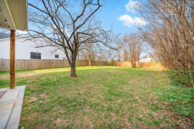 view of yard featuring a fenced backyard