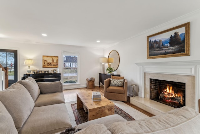 living room featuring wood finished floors, crown molding, and a premium fireplace