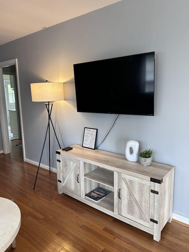 interior details with baseboards and wood finished floors