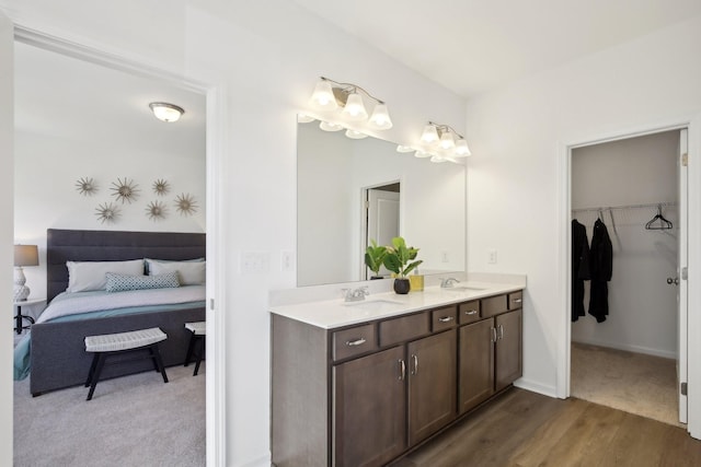 full bathroom featuring a walk in closet, wood finished floors, a sink, and double vanity