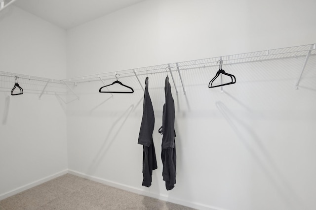 walk in closet featuring carpet