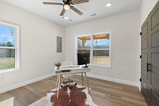 home office featuring a ceiling fan, baseboards, visible vents, and light wood-type flooring