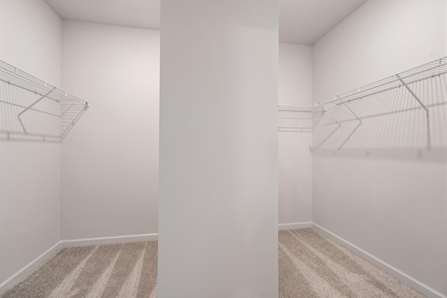 walk in closet featuring carpet floors