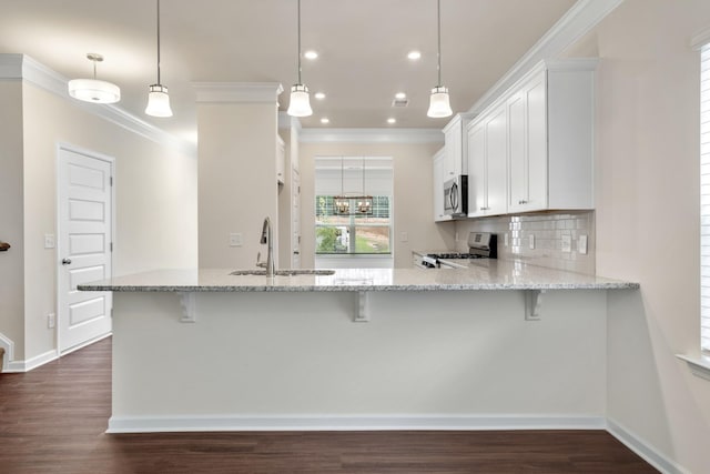 kitchen with dark wood-type flooring, a sink, backsplash, appliances with stainless steel finishes, and crown molding