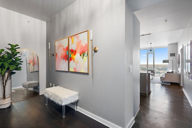 515 Church St Unit 3408, Nashville, TN 37219 - hall with baseboards, dark wood-style floors, and floor to ceiling windows