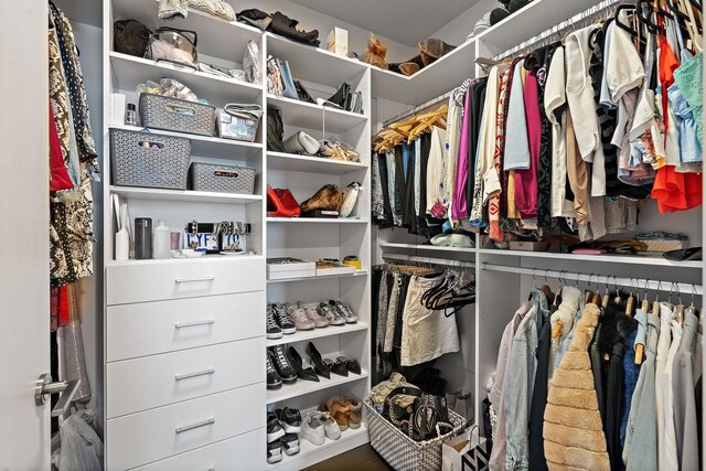 515 Church St Unit 3408, Nashville, TN 37219 - view of spacious closet