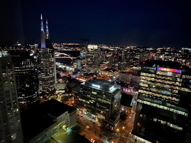 515 Church St Unit 3408, Nashville, TN 37219 - property's view of city