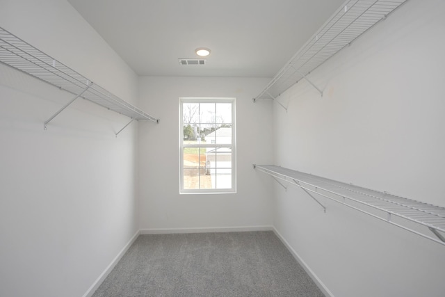 walk in closet with visible vents and carpet