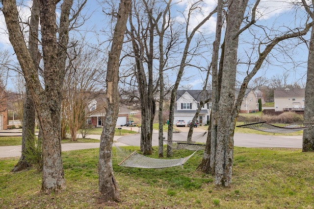 view of yard with a residential view and curved driveway