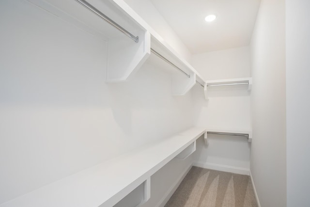 2359 Williamsport Lndg, Columbia, TN 38401 - spacious closet with light carpet