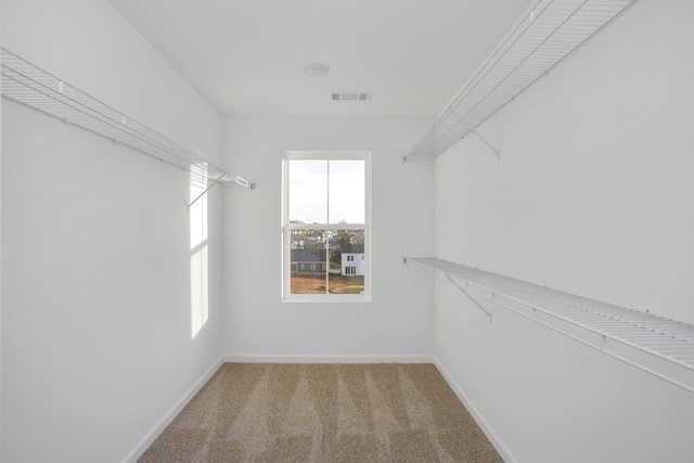 spacious closet with visible vents and carpet flooring