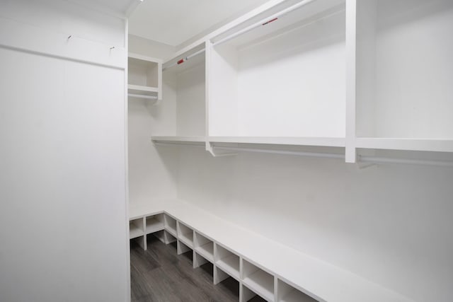 walk in closet featuring dark wood-style floors