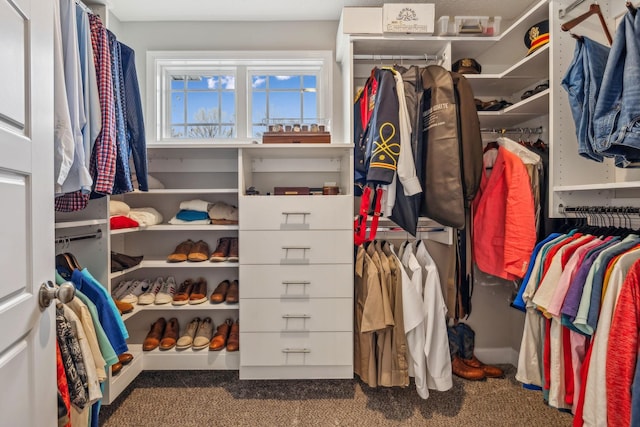 1025 Brightwood Ct, Clarksville, TN 37043 - view of walk in closet