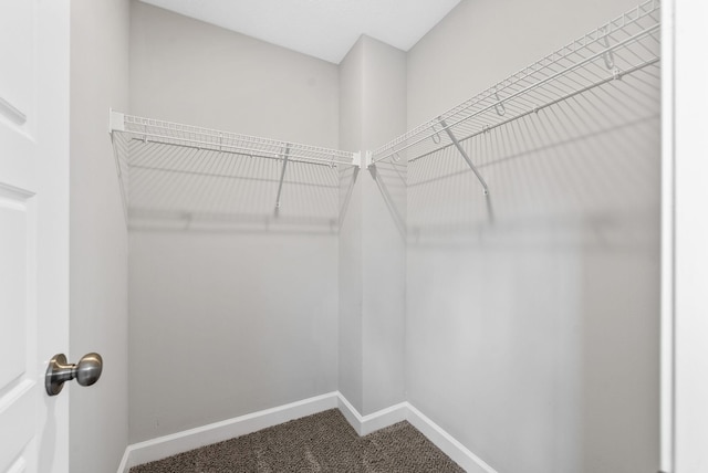 1025 Brightwood Ct, Clarksville, TN 37043 - photo 27