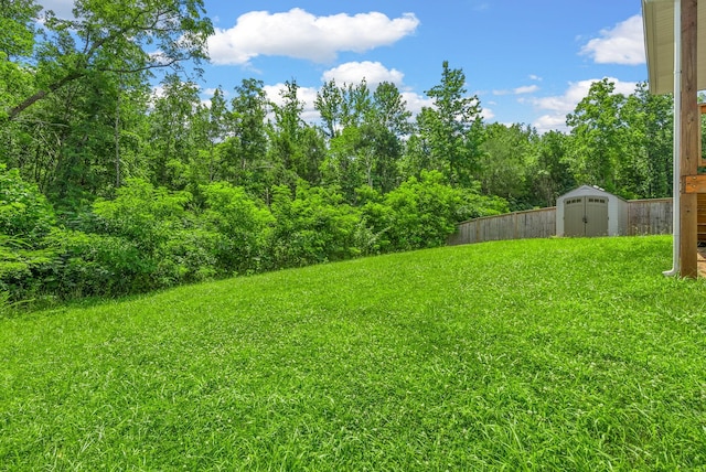 1025 Brightwood Ct, Clarksville, TN 37043 - photo 36