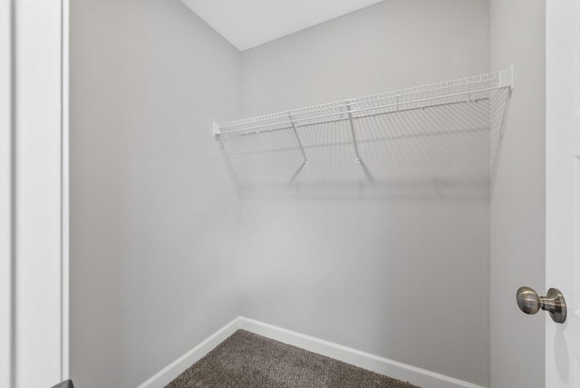 1025 Brightwood Ct, Clarksville, TN 37043 - photo 24