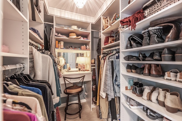 spacious closet featuring wood finished floors