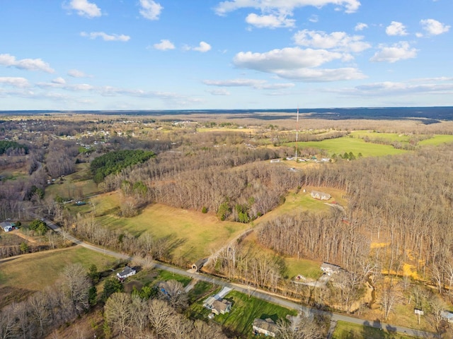 drone / aerial view