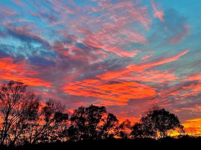 view of nature at dusk