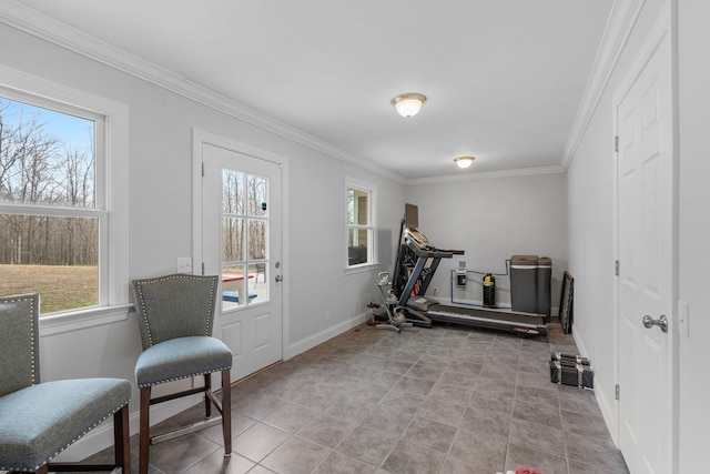 exercise area with crown molding, baseboards, and a wealth of natural light