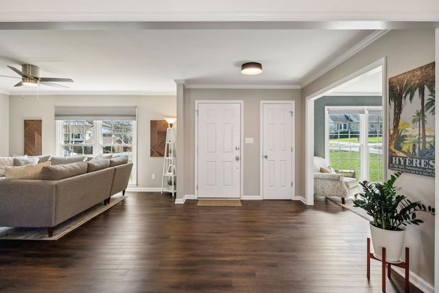 entrance foyer featuring a wealth of natural light, dark wood-style floors, and ornamental molding