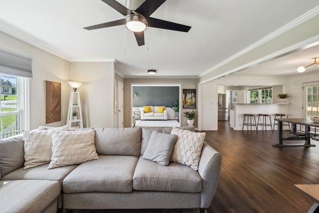 living room with dark wood-type flooring, a ceiling fan, a wealth of natural light, and ornamental molding