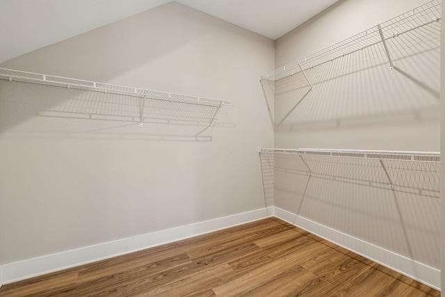 walk in closet featuring wood finished floors