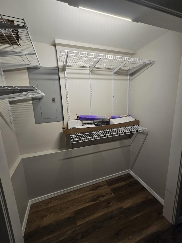 spacious closet featuring electric panel and wood finished floors