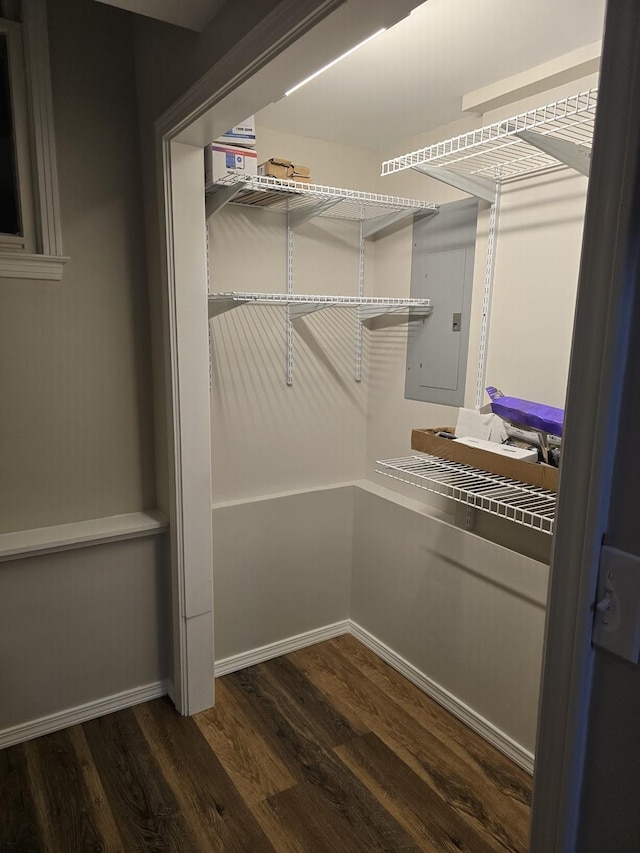 spacious closet with electric panel and dark wood-style flooring