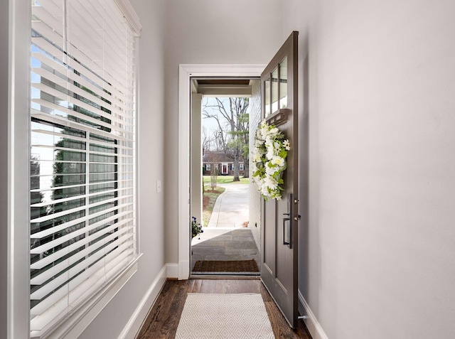 foyer entrance featuring baseboards and dark wood-style flooring