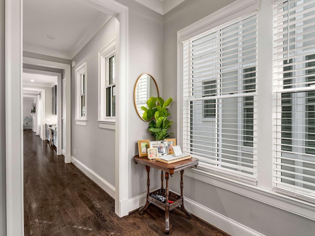 hallway with dark wood-style floors, crown molding, and baseboards