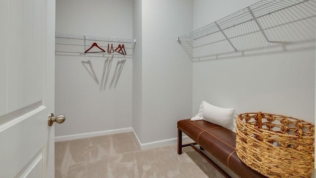 spacious closet featuring carpet