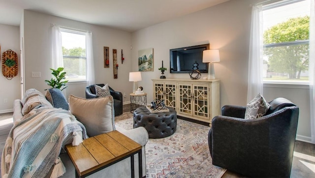 living room with baseboards and wood finished floors