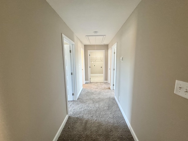 153 Cardinal Crk, Clarksville, TN 37040 - hall with attic access, carpet flooring, and baseboards