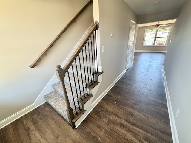 153 Cardinal Crk, Clarksville, TN 37040 - staircase with baseboards, wood finished floors, and a ceiling fan