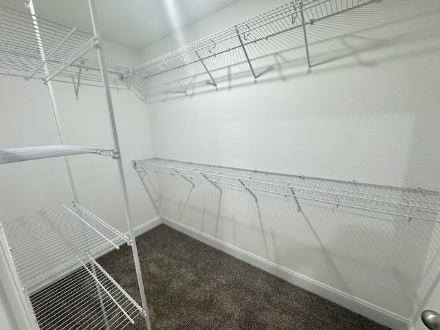 153 Cardinal Crk, Clarksville, TN 37040 - spacious closet featuring dark carpet