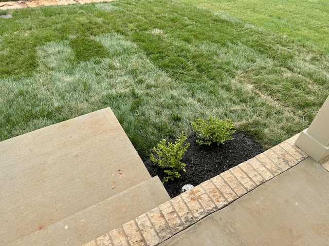 153 Cardinal Crk, Clarksville, TN 37040 - view of grassy yard