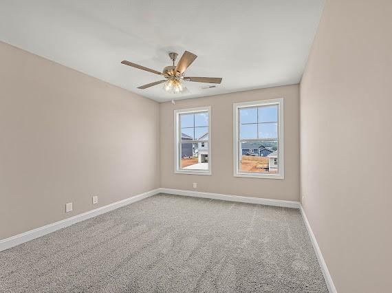153 Cardinal Crk, Clarksville, TN 37040 - photo 21