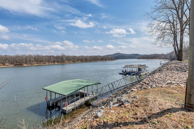 dock area with a water view